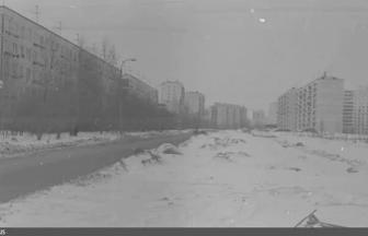 Проезд Шокальского, 2, (предположительное расположение лагеря) 1978 год.  Фото: pastvu.com