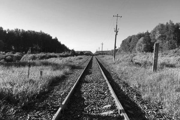 Железнодорожная ветка Кривандино — Сазоново у Егорьевского шоссе. 2018 г. Фото: И. Натаров Железнодорожная ветка Кривандино — Сазоново у Егорьевского шоссе. 2018 г. Фото: И. Натаров