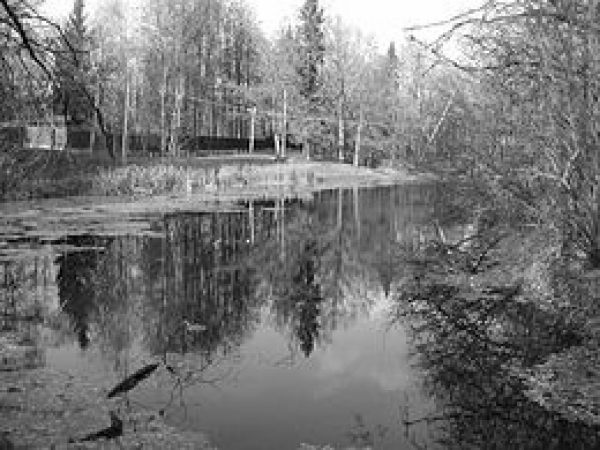 Слева — посёлок Внуково, справа — Абабурово. Фото: Wikipedia Слева — посёлок Внуково, справа — Абабурово. Фото: Wikipedia
