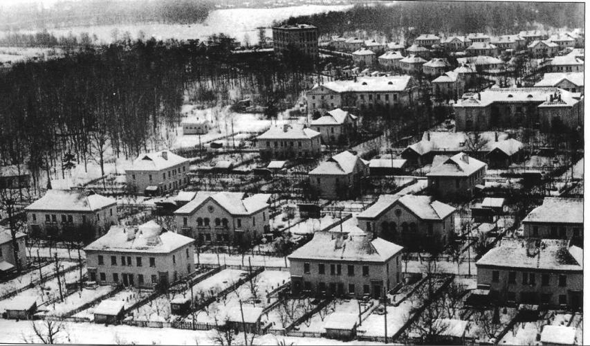 Панорама поселка Северный. 1960–1970 гг. Фото: PastVu