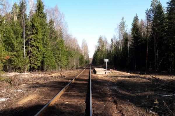 Железнодорожная ветка Кривандино — Сазоново у платформы 29 километр, рядом с деревней Малеиха. 2011 г. Фото: beoppp, train-photo.ru