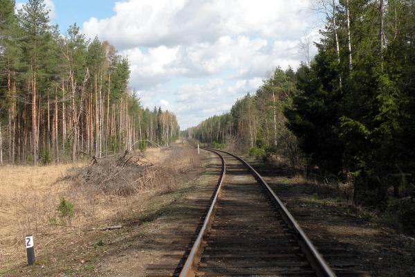 Кривандинская ветка между Осановым и Пожогой. 2011 г. Фото: beoppp, train-photo.ru
